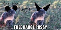  free range pussy