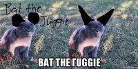  bat the гuggie