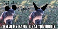  hello my name is bat the juggie