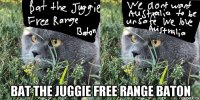 bat the juggie free range baton
