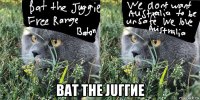  bat the juггие