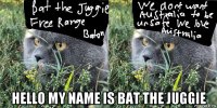  hello my name is bat the juggie