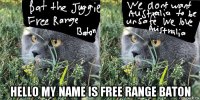  hello my name is free range baton