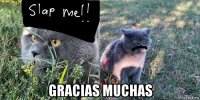  gracias muchas