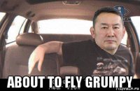  about to fly grumpy