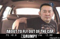  about to fly out of the car grumpy
