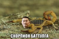  скорпион баттулга