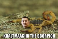  khaltmaagiin the scorpion