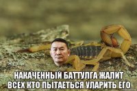 накаченный баттулга жалит всех кто пытаеться уларить его
