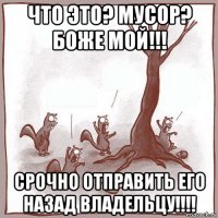 что это? мусор? боже мой!!! срочно отправить его назад владельцу!!!!