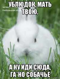 ублюдок, мать твою, а ну иди сюда, га*но собачье