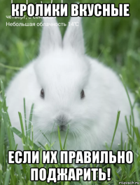 кролики вкусные если их правильно поджарить!