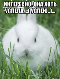 интересно, она хоть успела....( успею..)... 