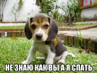  не знаю как вы а я спать