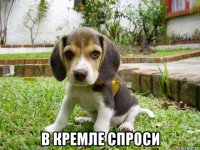  в кремле спроси