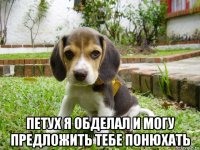  петух я обделал и могу предложить тебе понюхать