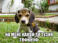  на мене какой-то тузик тяфкнуф