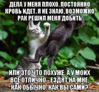 дела у меня плохо. постоянно кровь идет. я не знаю, возможно рак решил меня добить или это что похуже. а у моих все отлично - ездят на мне, как обычно. как вы сами?