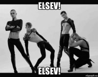 elsev! elsev!