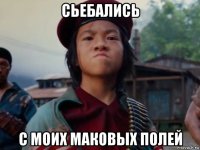 сьебались с моих маковых полей