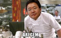  ari gem