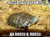 лесса ты где там?! да ползу я, ползу