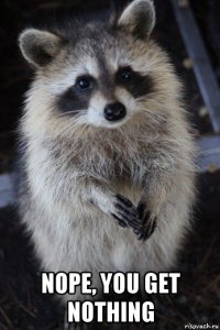 nope, you get nothing