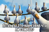  петух, ты это, как, говна что ли сожрал?