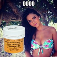 dddd 