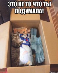 это не то что ты подумала! 