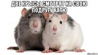 две крысы смотрят на свою подругу катю 