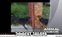  эффект забора