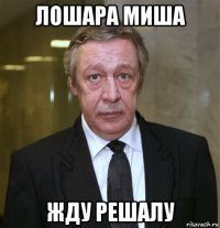 лошара миша жду решалу