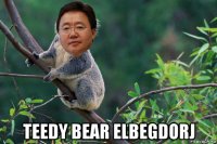  teedy bear elbegdorj