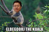  elbegdorj the koala