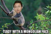  teady with a mongolian face