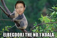  elbegdorj the no.1 koala