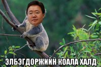  элбэгдоржийн коала халд