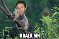  koala.mn