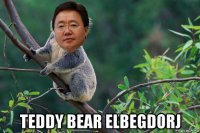  teddy bear elbegdorj
