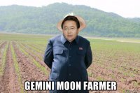  gemini moon farmer