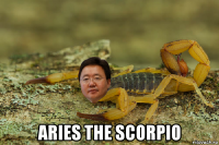  aries the scorpio
