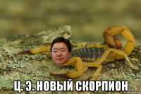  ц. э. новый скорпион