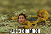  ц. е. э скорпіон