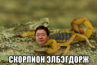  скорпион элбэгдорж