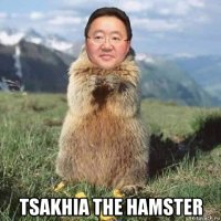  tsakhia the hamster