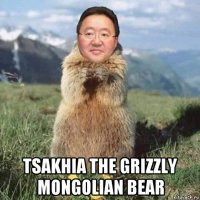  tsakhia the grizzly mongolian bear
