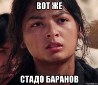 вот же стадо баранов