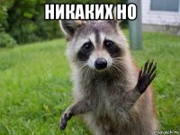 никаких но 
