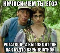 ничоси..чем ты его? рогаткой,- а выглядит так как будто взрывчаткой
